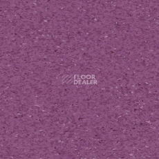 Линолеум Tarkett iQ Granit MEDIUM VIOLET 0451 фото 1 | FLOORDEALER